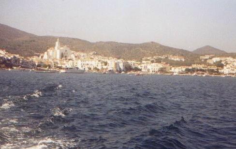 Blick vom Boot